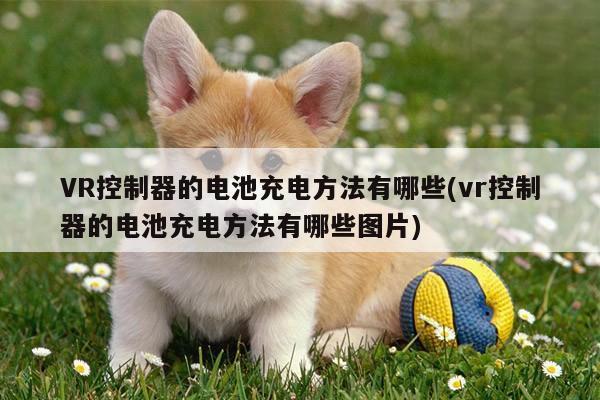 Bsports必一体育-VR控制器的电池充电方法有哪些(vr控制器的电池充电方法有哪些图片)