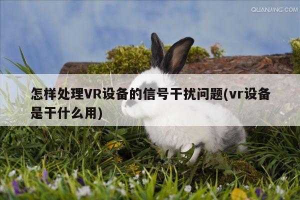 Bsports必一体育：怎样处理VR设备的信号干扰问题(vr设备是干什么用)