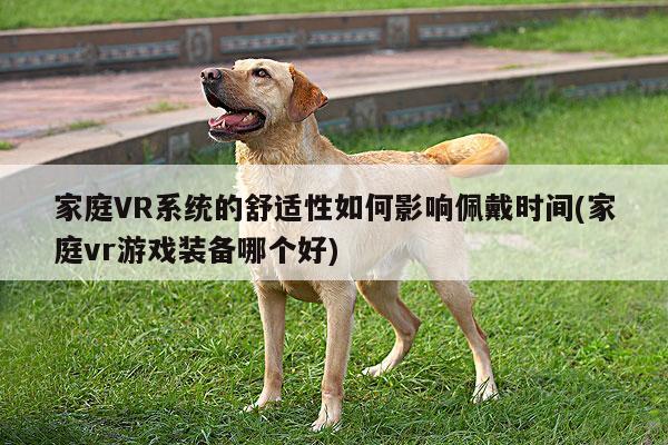 家庭VR系统的舒适性如何影响佩戴时间(家庭vr游戏装备哪个好)：Bsport体育在线官网