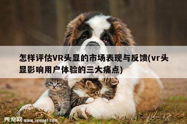 bsports官网-怎样评估VR头显的市场表现与反馈(vr头显影响用户体验的三大痛点)