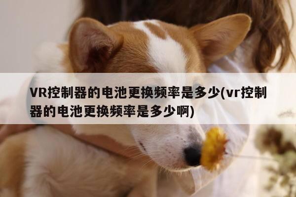 【b体育官网】VR控制器的电池更换频率是多少(vr控制器的电池更换频率是多少啊)