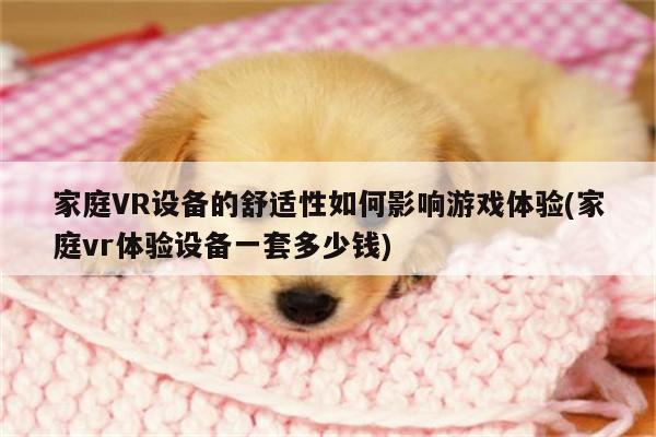 Bsport体育在线官网-家庭VR设备的舒适性如何影响游戏体验(家庭vr体验设备一套多少钱)