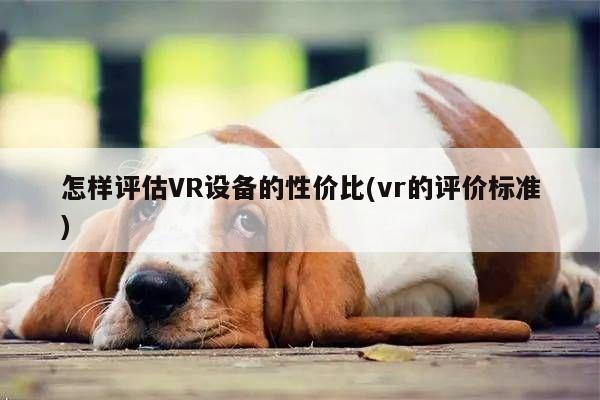 Bsports必一体育_怎样评估VR设备的性价比(vr的评价标准)