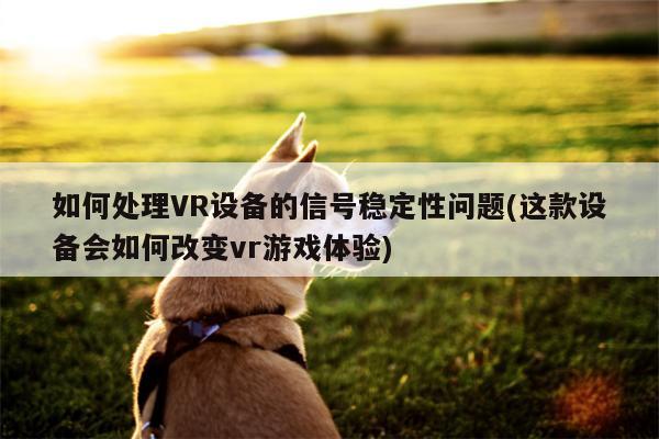 如何处理VR设备的信号稳定性问题(这款设备会如何改变vr游戏体验)【b体育官网】