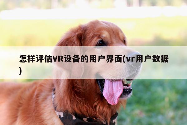 怎样评估VR设备的用户界面(vr用户数据)：Bsport体育在线官网