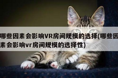 哪些因素会影响VR房间规模的选择(哪些因素会影响vr房间规模的选择性)【Bsport体育在线官网】