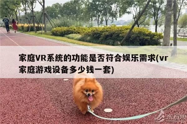 家庭VR系统的功能是否符合娱乐需求(vr家庭游戏设备多少钱一套)-b体育官网