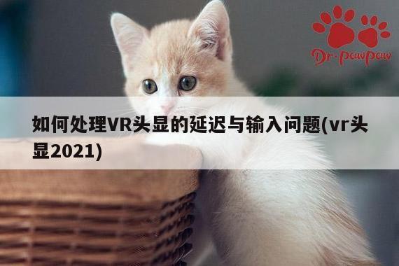 如何处理VR头显的延迟与输入问题(vr头显2021)_Bsport体育在线官网