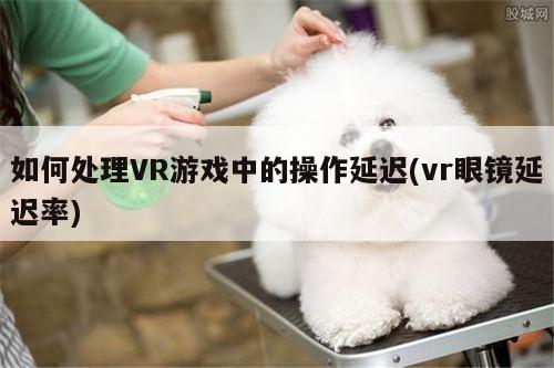 如何处理VR游戏中的操作延迟(vr眼镜延迟率)|Bsports必一体育