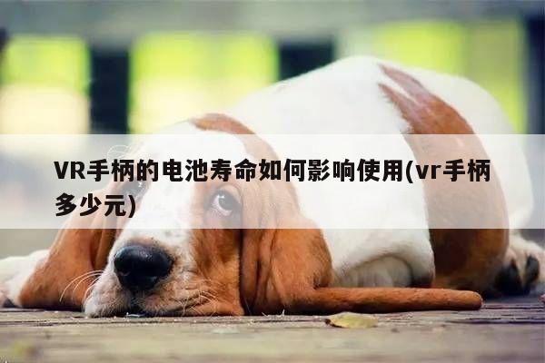 VR手柄的电池寿命如何影响使用(vr手柄多少元)|Bsports必一体育