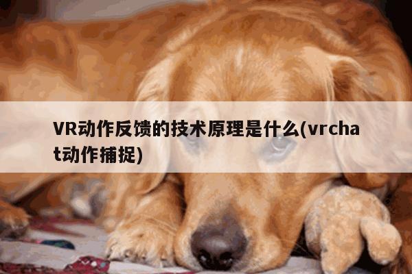 VR动作反馈的技术原理是什么(vrchat动作捕捉)|Bsports必一体育