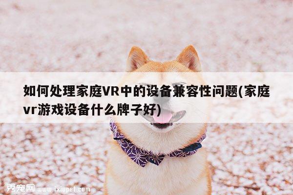 b体育官网-如何处理家庭VR中的设备兼容性问题(家庭vr游戏设备什么牌子好)