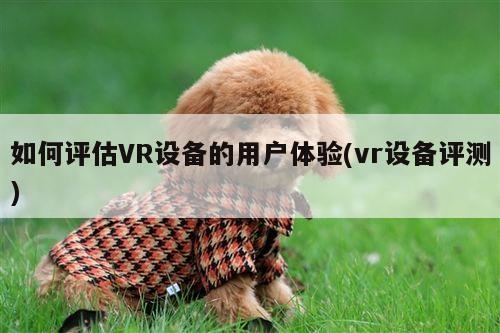 【b体育官网】如何评估VR设备的用户体验(vr设备评测)