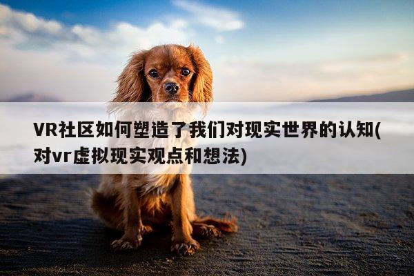 VR社区如何塑造了我们对现实世界的认知(对vr虚拟现实观点和想法)-b体育官网