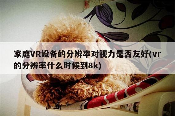 Bsports必一体育-家庭VR设备的分辨率对视力是否友好(vr的分辨率什么时候到8k)