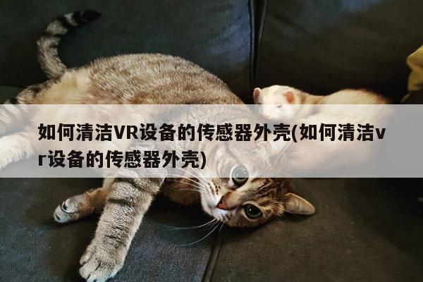 Bsport体育在线官网-如何清洁VR设备的传感器外壳(如何清洁vr设备的传感器外壳)