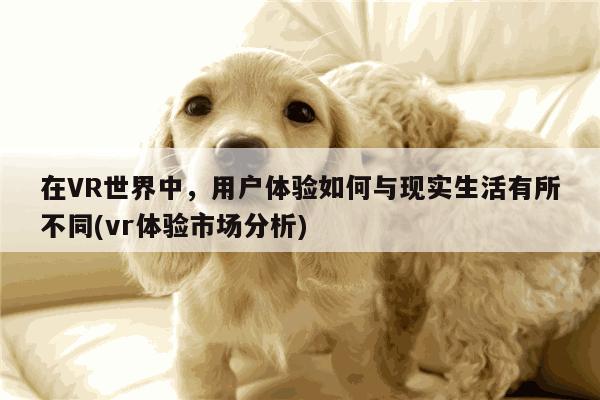 Bsports必一体育_在VR世界中，用户体验如何与现实生活有所不同(vr体验市场分析)