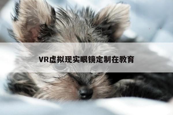 VR虚拟现实眼镜定制在教育_Bsports必一体育