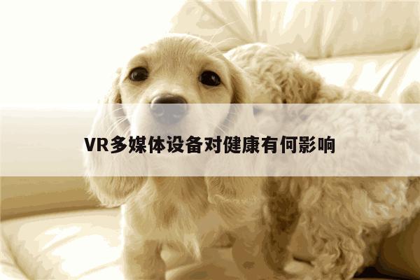 VR多媒体设备对健康有何影响|Bsport体育在线官网