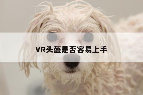 Bsports必一体育_VR头盔是否容易上手