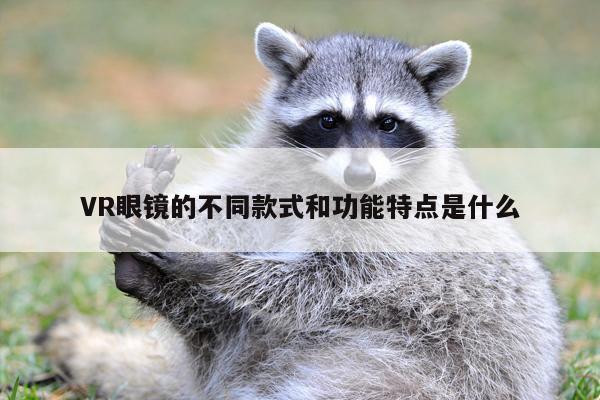 b体育官网：VR眼镜的不同款式和功能特点是什么