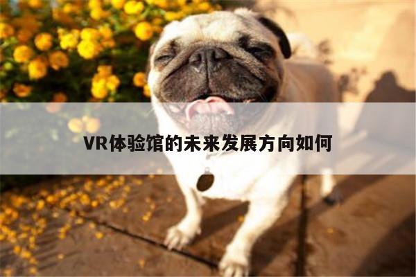 bsports官网：VR体验馆的未来发展方向如何