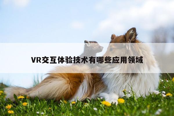 bsports官网：VR交互体验技术有哪些应用领域