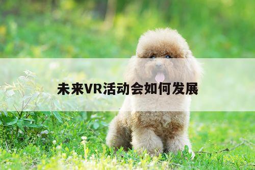 未来VR活动会如何发展【bsports官网】