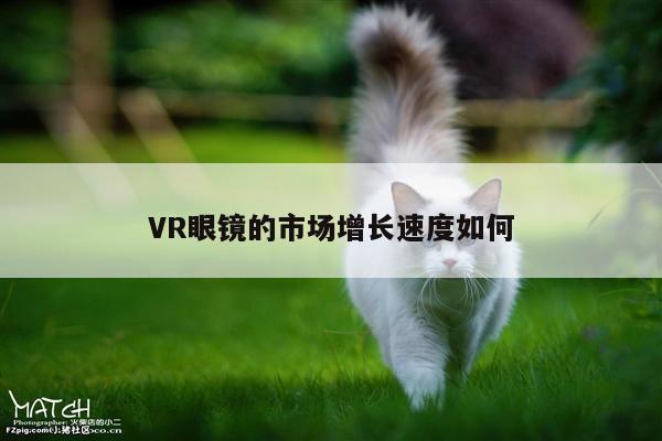 VR眼镜的市场增长速度如何-Bsports必一体育