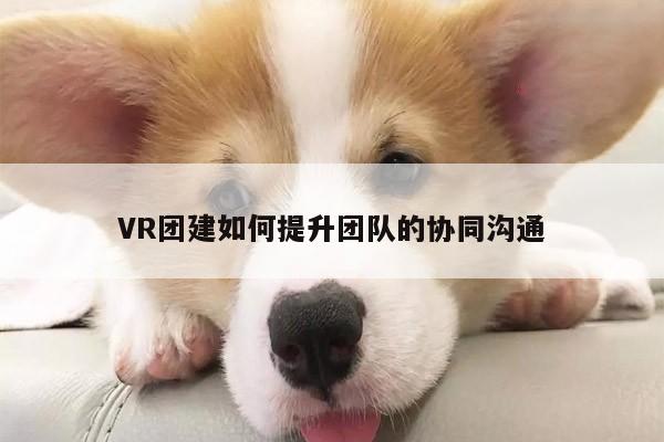 Bsports必一体育|VR团建如何提升团队的协同沟通