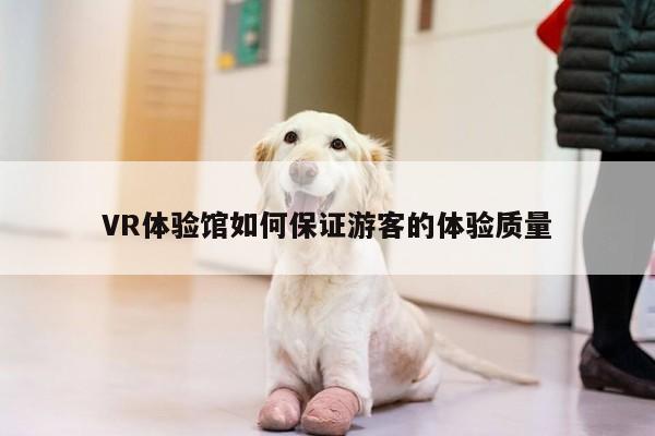 Bsport体育在线官网-VR体验馆如何保证游客的体验质量