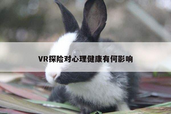 Bsport体育在线官网：VR探险对心理健康有何影响