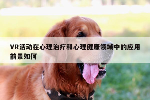 VR活动在心理治疗和心理健康领域中的应用前景如何|b体育官网