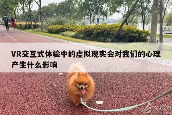 Bsport体育在线官网|VR交互式体验中的虚拟现实会对我们的心理产生什么影响