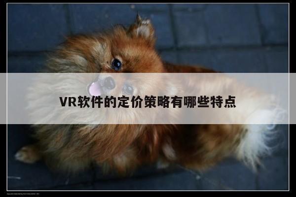 VR软件的定价策略有哪些特点_Bsport体育在线官网