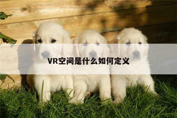 VR空间是什么如何定义【b体育官网】