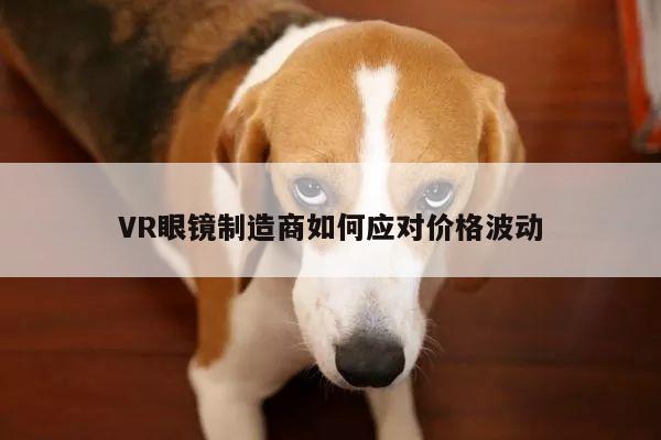 b体育官网|VR眼镜制造商如何应对价格波动