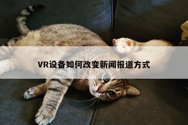 b体育官网-VR设备如何改变新闻报道方式