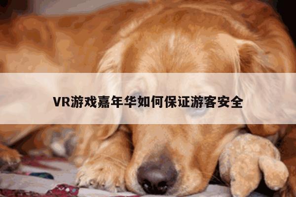 Bsport体育在线官网|VR游戏嘉年华如何保证游客安全