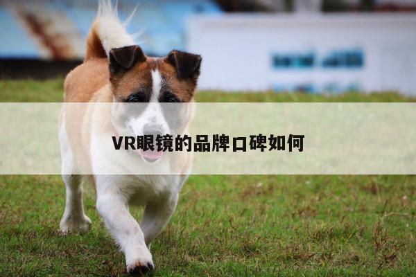 bsports官网：VR眼镜的品牌口碑如何