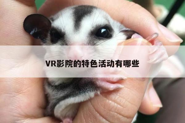 VR影院的特色活动有哪些_bsports官网