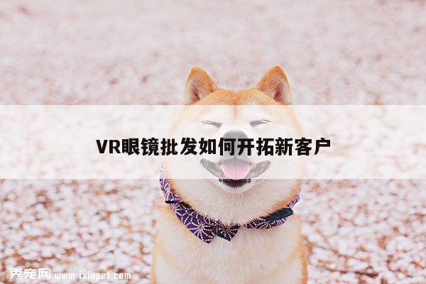 VR眼镜批发如何开拓新客户：Bsport体育在线官网