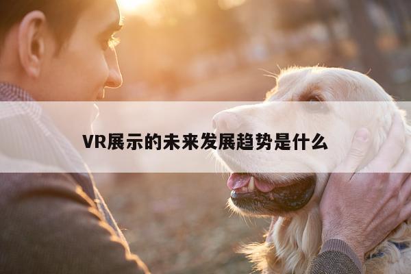 bsports官网|VR展示的未来发展趋势是什么