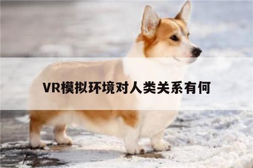 VR模拟环境对人类关系有何【Bsport体育在线官网】