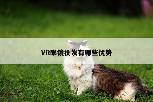 Bsport体育在线官网-VR眼镜批发有哪些优势