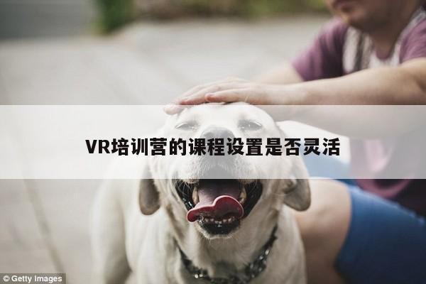 bsports官网_VR培训营的课程设置是否灵活