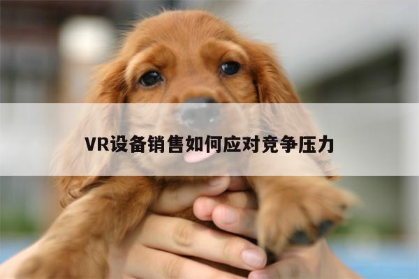 VR设备销售如何应对竞争压力|b体育官网