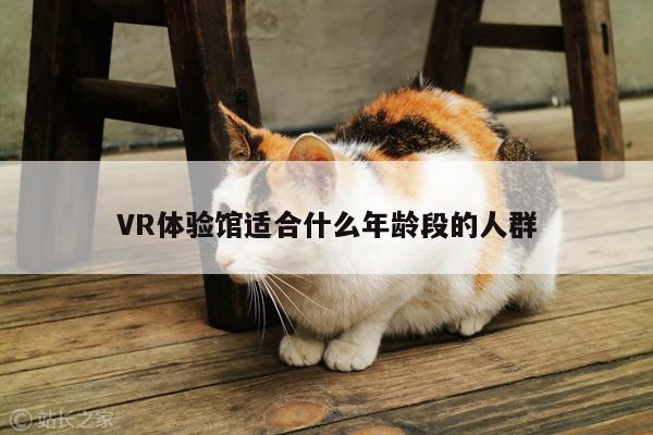 VR体验馆适合什么年龄段的人群-Bsports必一体育