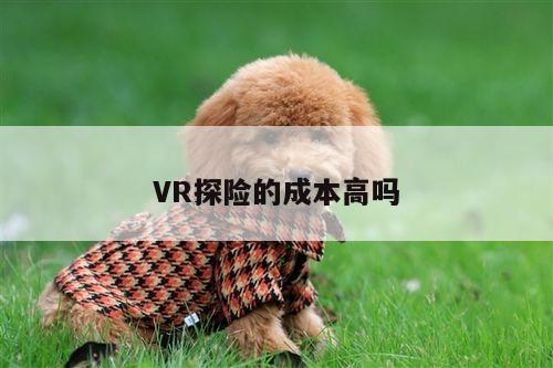 Bsport体育在线官网：VR探险的成本高吗